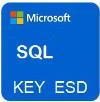 Microsoft SQL SERVER 2019 STANDARD 2 CORE 32/64 BIT KEY ESD